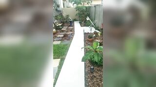 [5 of 3935 Vids] Bree Louise (bree_louisexoxo aka breebbydance) OnlyFans Leaks Nude