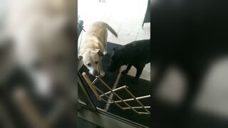 [5 of 3935 Vids] Bree Louise (bree_louisexoxo aka breebbydance) OnlyFans Leaks Nude