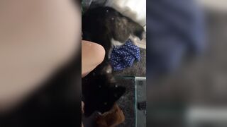 [543 of 3935 Vids] Bree Louise (bree_louisexoxo aka breebbydance) OnlyFans Leaks Nude