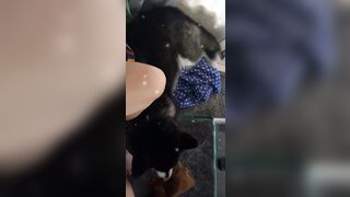 [543 of 3935 Vids] Bree Louise (bree_louisexoxo aka breebbydance) OnlyFans Leaks Nude