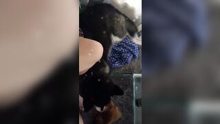 [543 of 3935 Vids] Bree Louise (bree_louisexoxo aka breebbydance) OnlyFans Leaks Nude