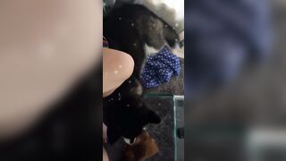 [543 of 3935 Vids] Bree Louise (bree_louisexoxo aka breebbydance) OnlyFans Leaks Nude