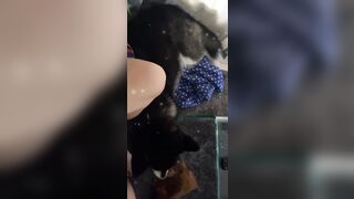 [543 of 3935 Vids] Bree Louise (bree_louisexoxo aka breebbydance) OnlyFans Leaks Nude