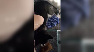 [543 of 3935 Vids] Bree Louise (bree_louisexoxo aka breebbydance) OnlyFans Leaks Nude