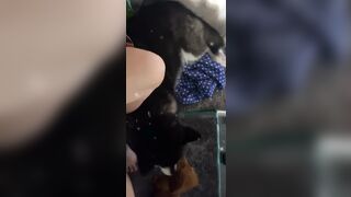 [543 of 3935 Vids] Bree Louise (bree_louisexoxo aka breebbydance) OnlyFans Leaks Nude