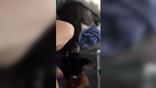 [543 of 3935 Vids] Bree Louise (bree_louisexoxo aka breebbydance) OnlyFans Leaks Nude