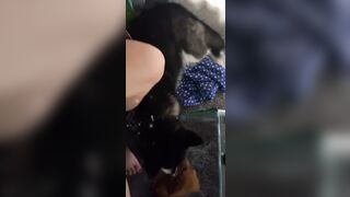 [543 of 3935 Vids] Bree Louise (bree_louisexoxo aka breebbydance) OnlyFans Leaks Nude