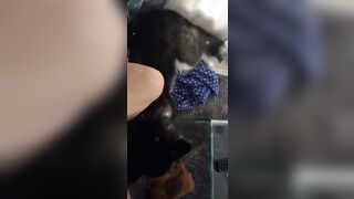 [543 of 3935 Vids] Bree Louise (bree_louisexoxo aka breebbydance) OnlyFans Leaks Nude