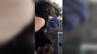 [543 of 3935 Vids] Bree Louise (bree_louisexoxo aka breebbydance) OnlyFans Leaks Nude