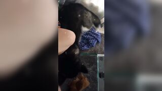 [543 of 3935 Vids] Bree Louise (bree_louisexoxo aka breebbydance) OnlyFans Leaks Nude