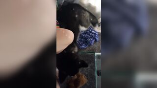 [543 of 3935 Vids] Bree Louise (bree_louisexoxo aka breebbydance) OnlyFans Leaks Nude