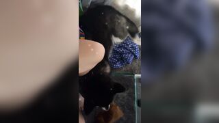 [543 of 3935 Vids] Bree Louise (bree_louisexoxo aka breebbydance) OnlyFans Leaks Nude