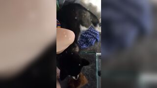 [543 of 3935 Vids] Bree Louise (bree_louisexoxo aka breebbydance) OnlyFans Leaks Nude