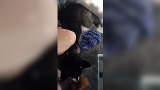 [543 of 3935 Vids] Bree Louise (bree_louisexoxo aka breebbydance) OnlyFans Leaks Nude