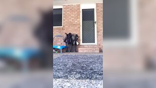 [594 of 3935 Vids] Bree Louise (bree_louisexoxo aka breebbydance) OnlyFans Leaks Nude