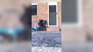 [594 of 3935 Vids] Bree Louise (bree_louisexoxo aka breebbydance) OnlyFans Leaks Nude