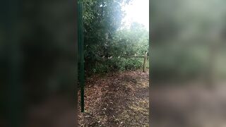 [662 of 3935 Vids] Bree Louise (bree_louisexoxo aka breebbydance) OnlyFans Leaks Nude