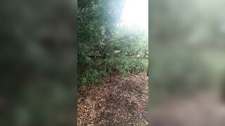 [662 of 3935 Vids] Bree Louise (bree_louisexoxo aka breebbydance) OnlyFans Leaks Nude