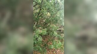 [662 of 3935 Vids] Bree Louise (bree_louisexoxo aka breebbydance) OnlyFans Leaks Nude