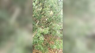 [662 of 3935 Vids] Bree Louise (bree_louisexoxo aka breebbydance) OnlyFans Leaks Nude