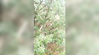 [662 of 3935 Vids] Bree Louise (bree_louisexoxo aka breebbydance) OnlyFans Leaks Nude