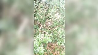 [662 of 3935 Vids] Bree Louise (bree_louisexoxo aka breebbydance) OnlyFans Leaks Nude