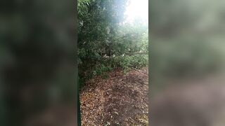 [662 of 3935 Vids] Bree Louise (bree_louisexoxo aka breebbydance) OnlyFans Leaks Nude