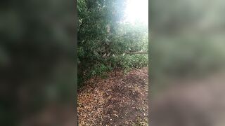 [662 of 3935 Vids] Bree Louise (bree_louisexoxo aka breebbydance) OnlyFans Leaks Nude