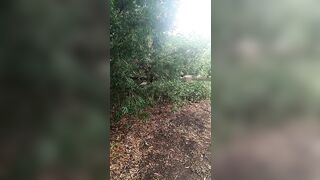 [662 of 3935 Vids] Bree Louise (bree_louisexoxo aka breebbydance) OnlyFans Leaks Nude