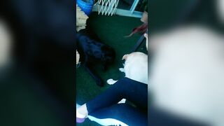 [71 of 3935 Vids] Bree Louise (bree_louisexoxo aka breebbydance) OnlyFans Leaks Nude