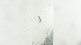 [711 of 3935 Vids] Bree Louise (bree_louisexoxo aka breebbydance) OnlyFans Leaks Nude