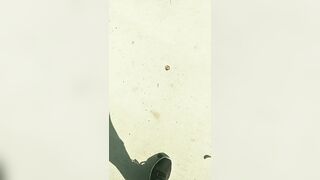 [711 of 3935 Vids] Bree Louise (bree_louisexoxo aka breebbydance) OnlyFans Leaks Nude