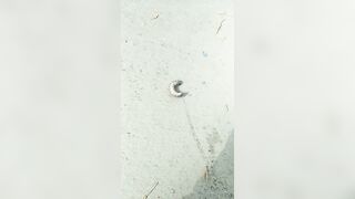 [711 of 3935 Vids] Bree Louise (bree_louisexoxo aka breebbydance) OnlyFans Leaks Nude