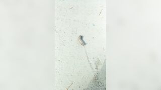 [711 of 3935 Vids] Bree Louise (bree_louisexoxo aka breebbydance) OnlyFans Leaks Nude