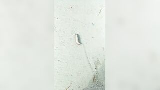 [711 of 3935 Vids] Bree Louise (bree_louisexoxo aka breebbydance) OnlyFans Leaks Nude