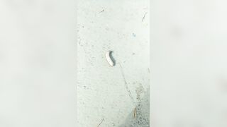 [711 of 3935 Vids] Bree Louise (bree_louisexoxo aka breebbydance) OnlyFans Leaks Nude