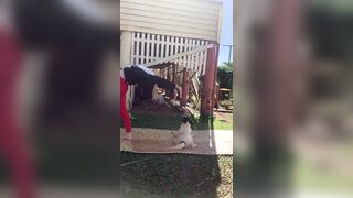 [729 of 3935 Vids] Bree Louise (bree_louisexoxo aka breebbydance) OnlyFans Leaks Nude