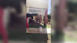 [729 of 3935 Vids] Bree Louise (bree_louisexoxo aka breebbydance) OnlyFans Leaks Nude