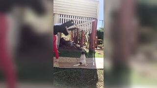 [729 of 3935 Vids] Bree Louise (bree_louisexoxo aka breebbydance) OnlyFans Leaks Nude