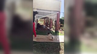 [729 of 3935 Vids] Bree Louise (bree_louisexoxo aka breebbydance) OnlyFans Leaks Nude