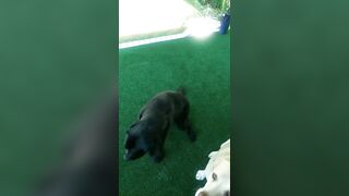 [774 of 3935 Vids] Bree Louise (bree_louisexoxo aka breebbydance) OnlyFans Leaks Nude