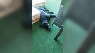 [774 of 3935 Vids] Bree Louise (bree_louisexoxo aka breebbydance) OnlyFans Leaks Nude