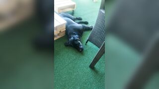 [774 of 3935 Vids] Bree Louise (bree_louisexoxo aka breebbydance) OnlyFans Leaks Nude