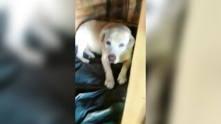 [774 of 3935 Vids] Bree Louise (bree_louisexoxo aka breebbydance) OnlyFans Leaks Nude