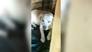 [774 of 3935 Vids] Bree Louise (bree_louisexoxo aka breebbydance) OnlyFans Leaks Nude