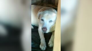 [774 of 3935 Vids] Bree Louise (bree_louisexoxo aka breebbydance) OnlyFans Leaks Nude