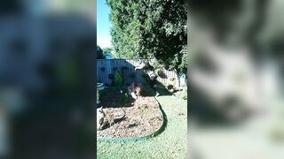 [775 of 3935 Vids] Bree Louise (bree_louisexoxo aka breebbydance) OnlyFans Leaks Nude