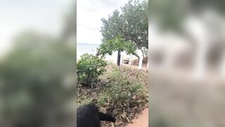 [783 of 3935 Vids] Bree Louise (bree_louisexoxo aka breebbydance) OnlyFans Leaks Nude