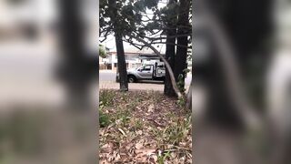 [783 of 3935 Vids] Bree Louise (bree_louisexoxo aka breebbydance) OnlyFans Leaks Nude