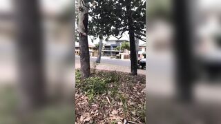 [783 of 3935 Vids] Bree Louise (bree_louisexoxo aka breebbydance) OnlyFans Leaks Nude